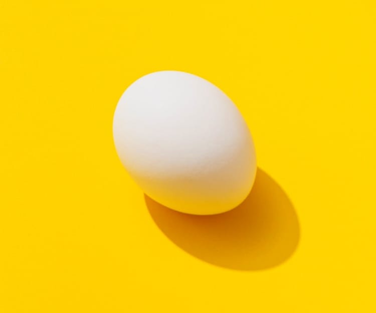 chicken egg